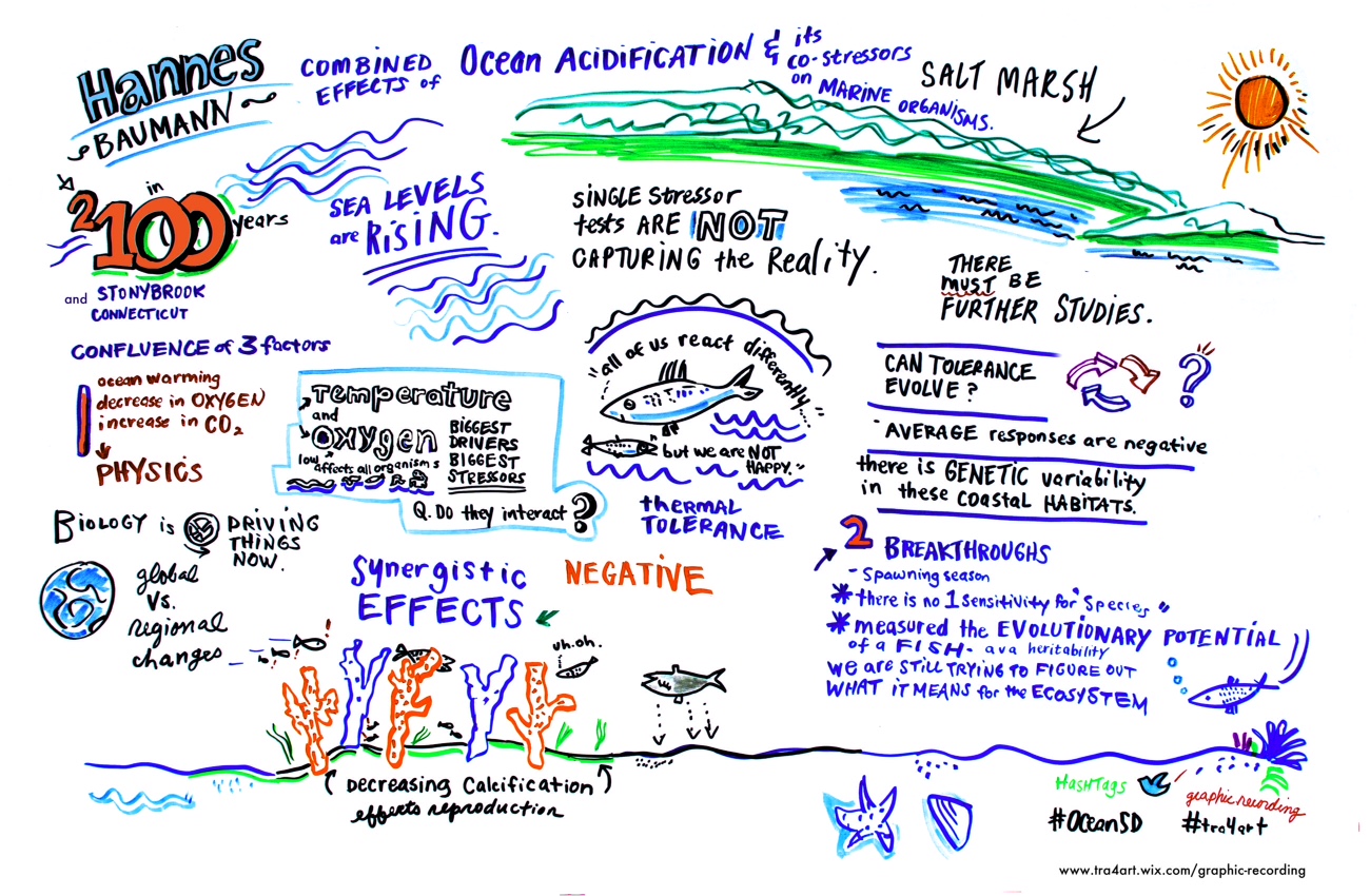 Graphical recording of H. Baumann's keynote lecture