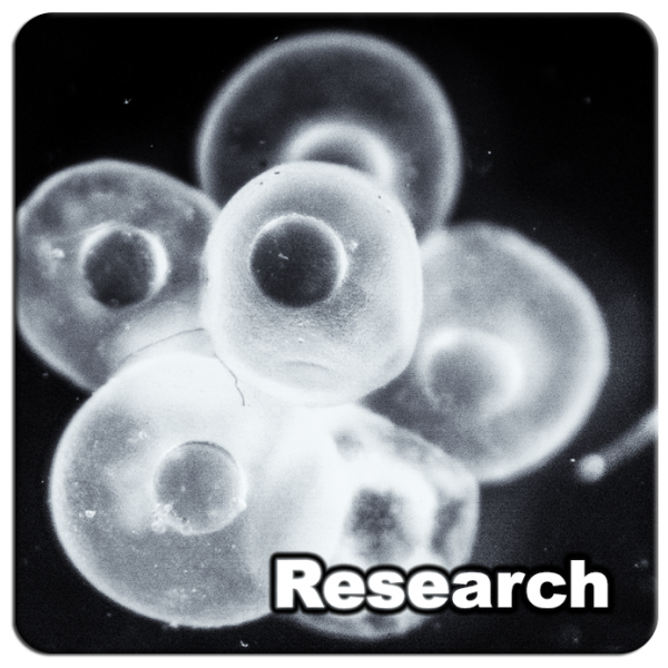 Research_05