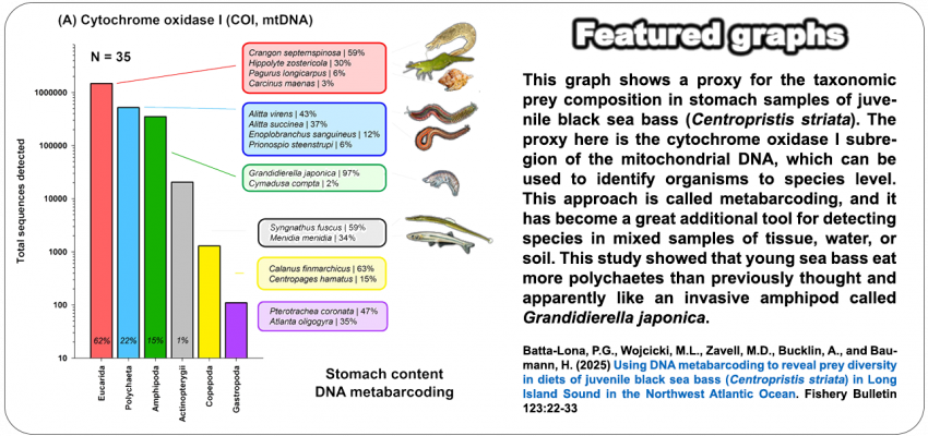 Featured-graph_07-BSB-metabarcoding