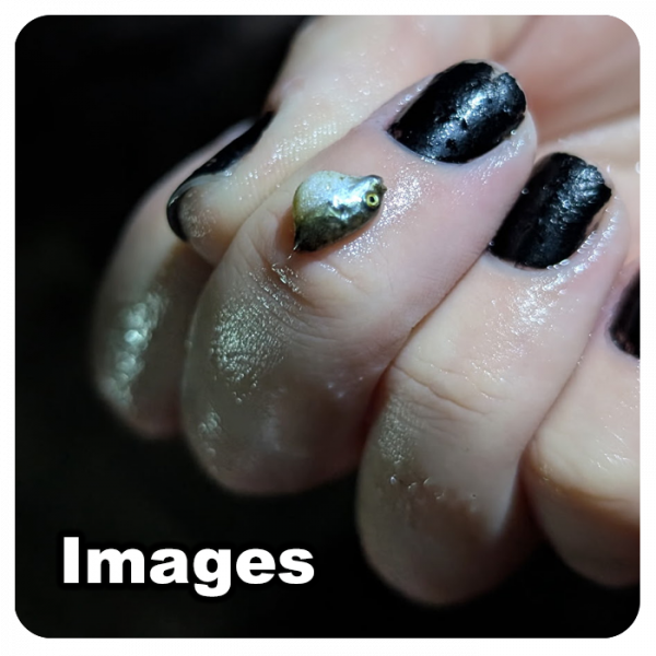 Images_17