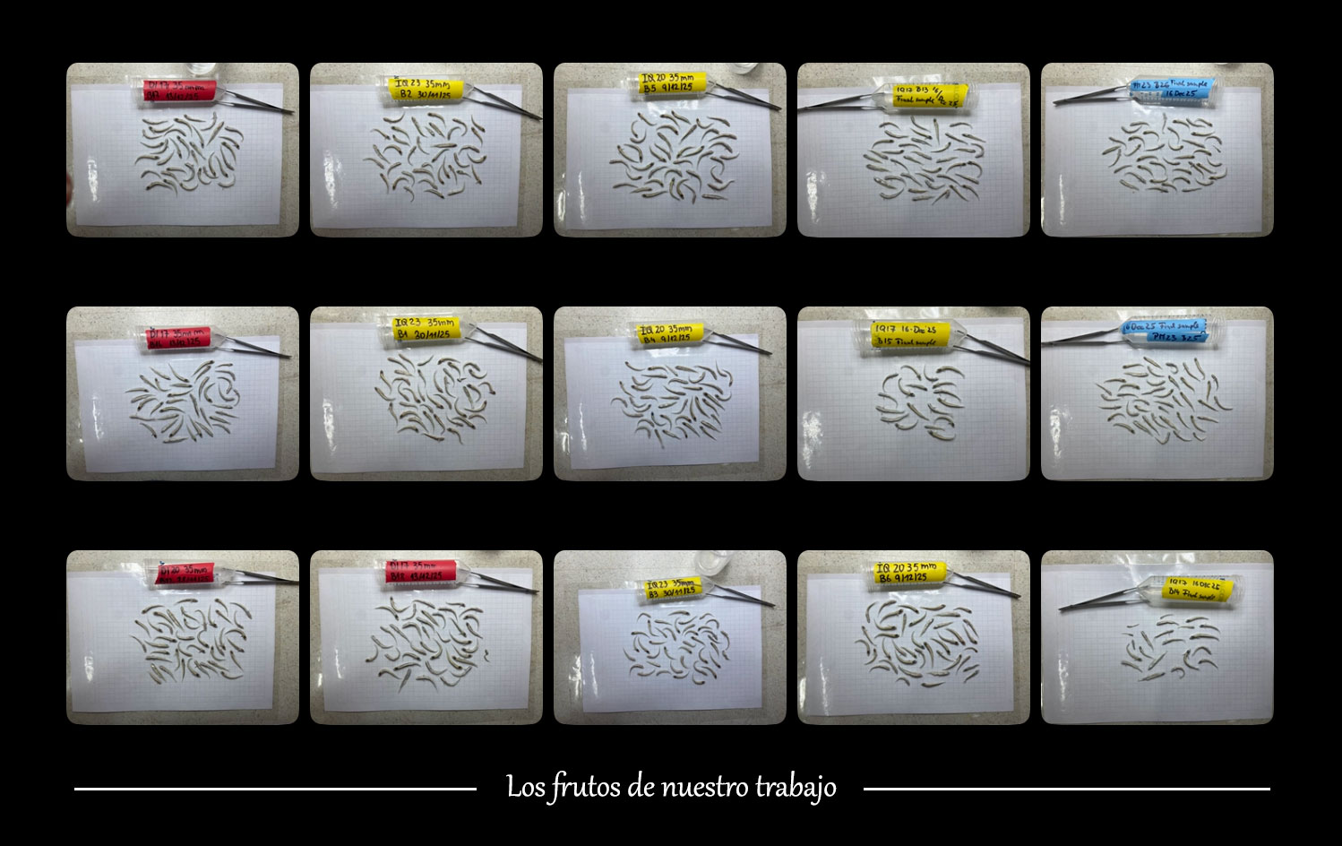 MEPS-2025-06-014_R2-Zavell.pdf