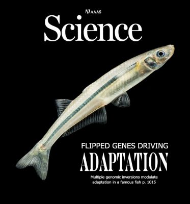 Alternative Science magazine cover featuring the Atlantic silverside